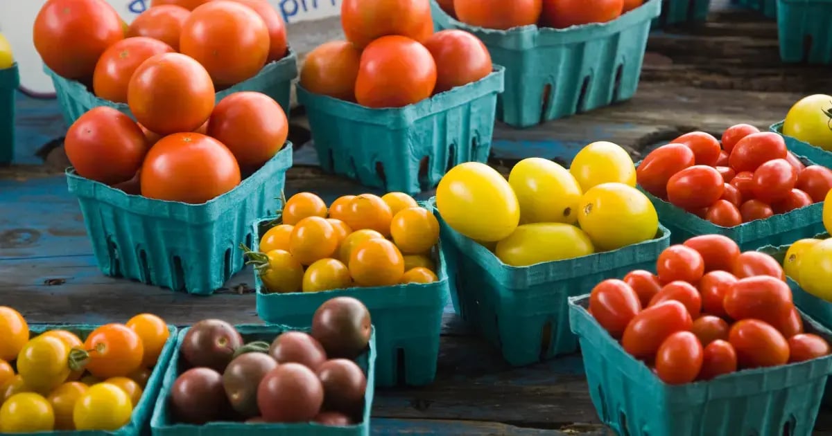 ITR - 7 Things to Know Before Starting a Food Co-Op - BLOG