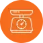 Weight Scales